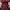 Deadpool Leather Utility Belt Set v2